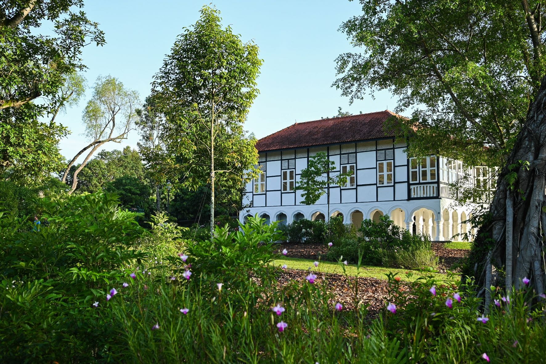 Forest Discovery Centre @ OCBC Arboretum